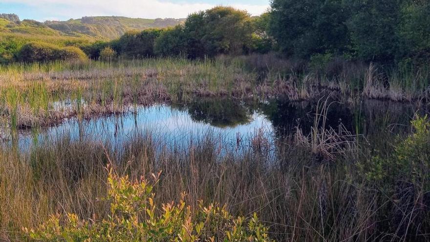 Paisajes Urbanos, por Gonzalo Barrena: La carriciega de Xagó