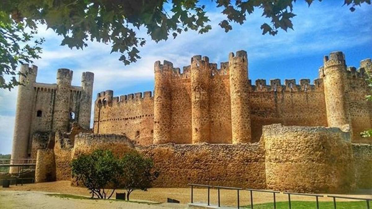 Castillo de Coyanza, Valencia de don Juan