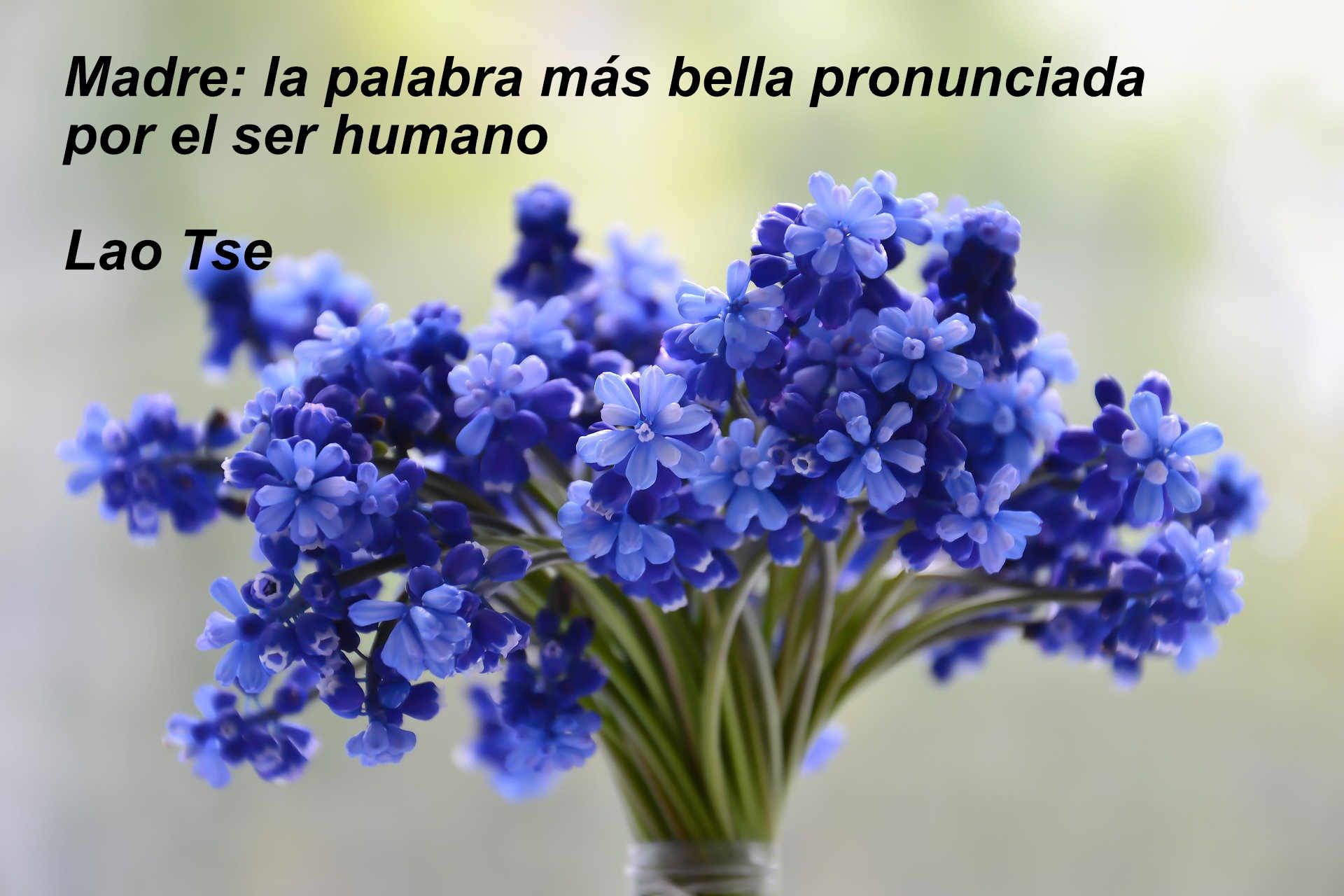 frases-dia-madre-15.jpg