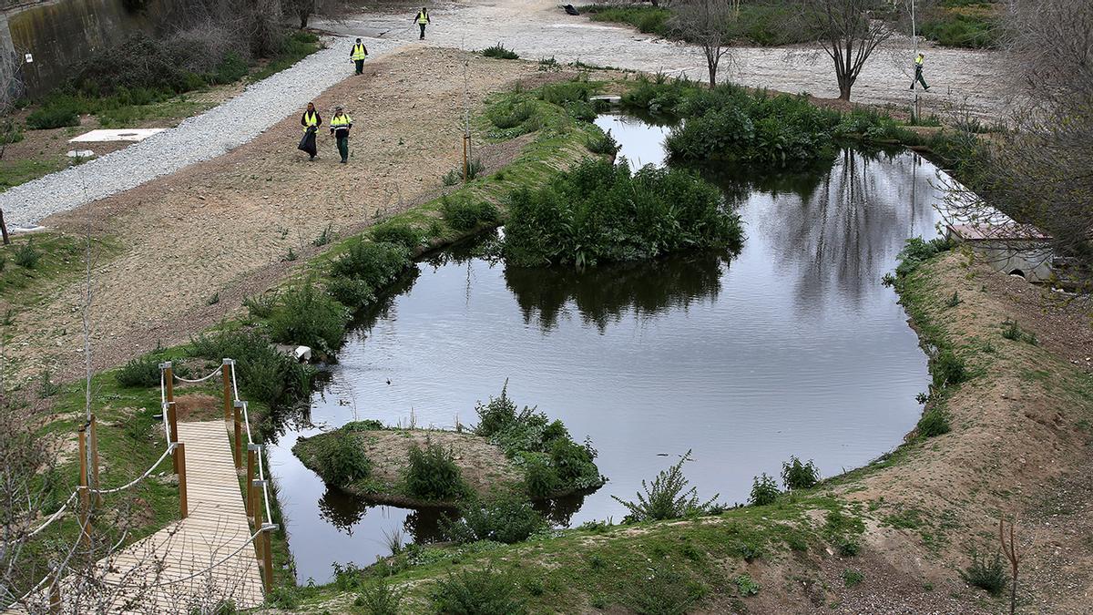 Refugio de la biodiversidad en el rio Besòs