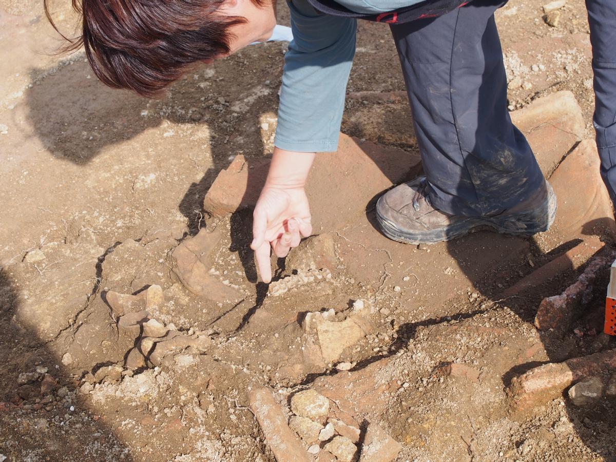 Cuando Llanera fue el centro romano de Asturias: así fueron las excavaciones en Lucus Asturum