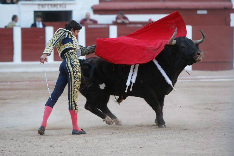 Toros en Zamora