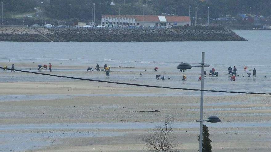 Mariscadoras de Moaña trabajando en la playa de A Xunqueira. // Gonzalo Núñez