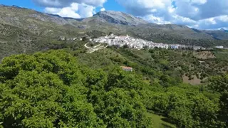 Una escapada perfecta a la naturaleza de Málaga: este es el sendero rural que une dos pueblos con encanto de la provincia