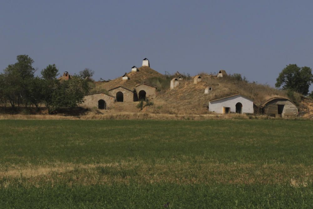 Zamora DesAparece|Paladinos del Valle