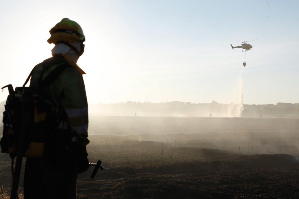 Incendio Carrascal