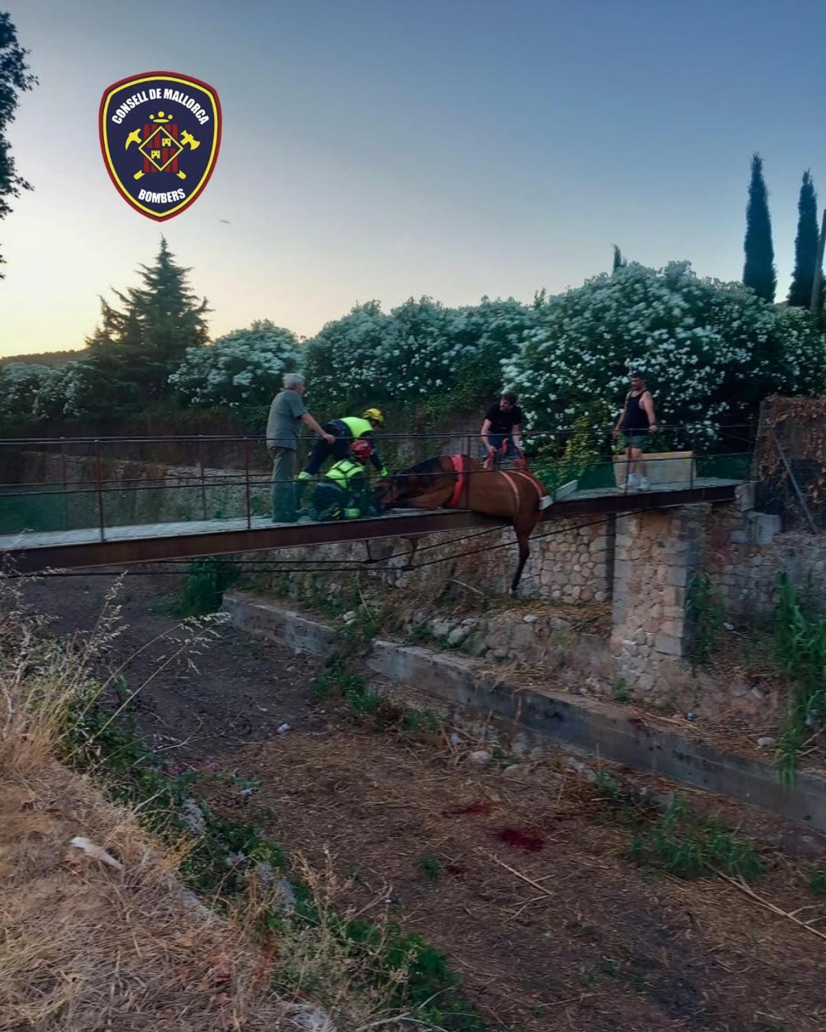 Los bomberos rescatan a un caballo atrapado en un puente en Sóller