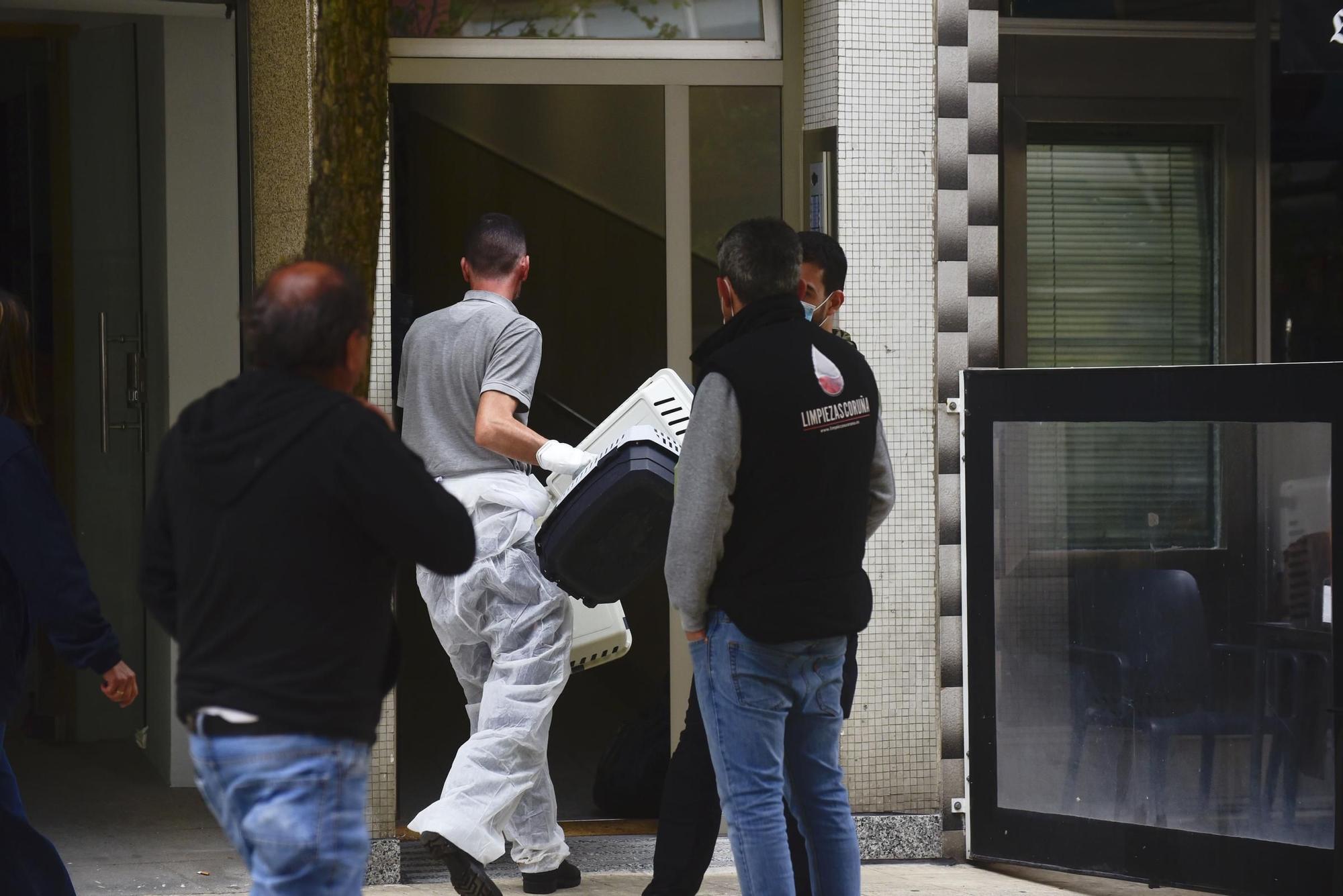 Rescate de una veintena de gatos hacinados en un piso de Os Mallos
