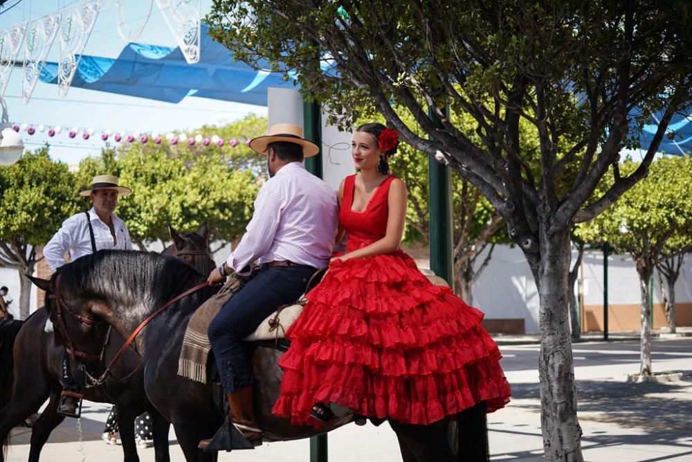 Primeros caballos en el Cortijo de Torres