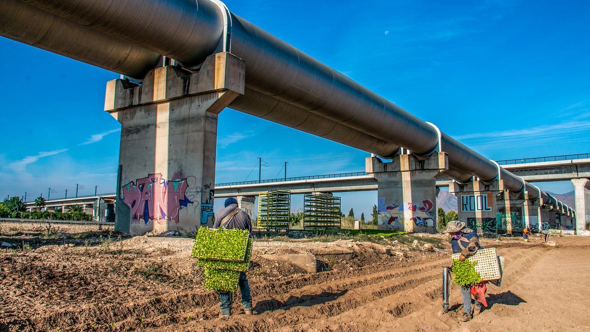 El agua del trasvase empezará a reducirse durante el verano