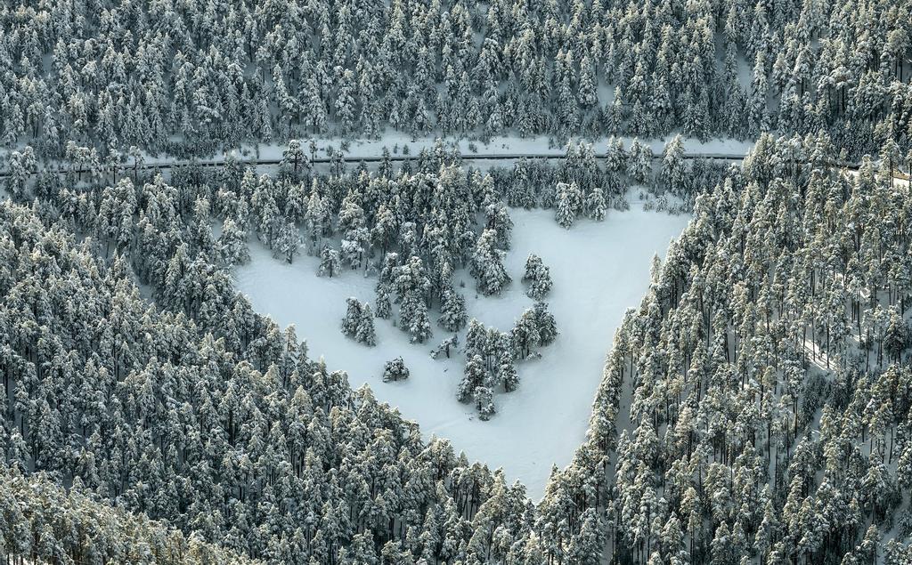 Reservas de la Biosfera