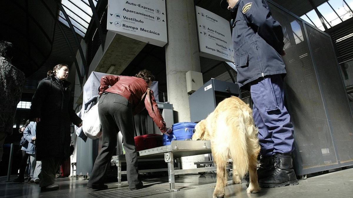 Un control plicial en la estación sevillana de Santa Justa.