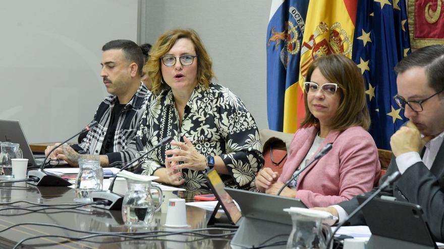 La consejera de Bienestar Social, Candelaria Delgado, durante la comisión en la que informó sobre el programa de Garantía Juvenil.