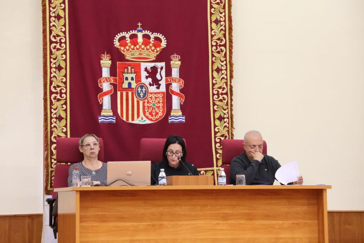 La alcaldesa de Yecla, Remedios Lajara durante la aprobación de los presupuestos.