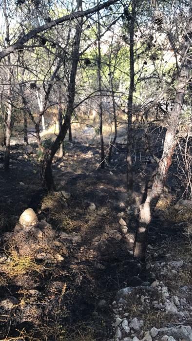 Pequeño incendio forestal en la Serra Grossa