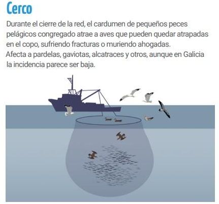 Las explicaciones de SEO/BirdLife sobre el cerco.