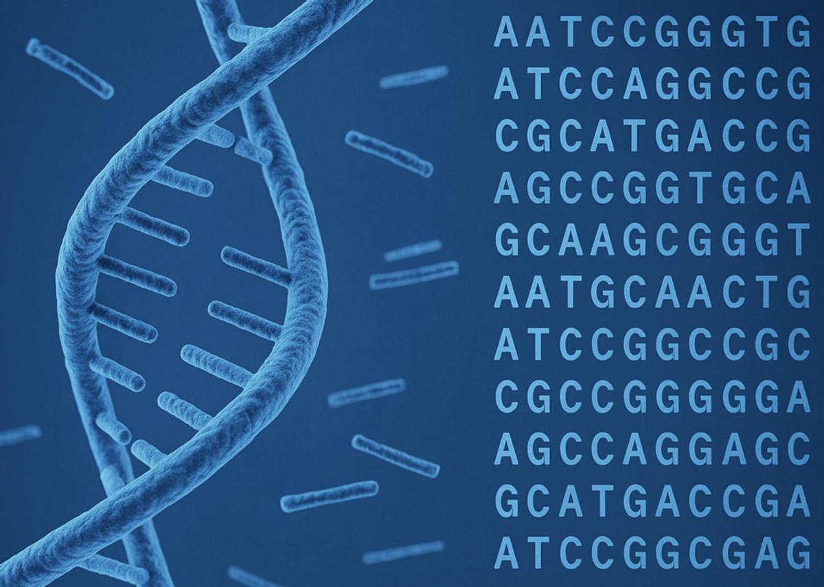 El secuenciamiento del ADN es un paso fundamental hacia la medicina personalizada.