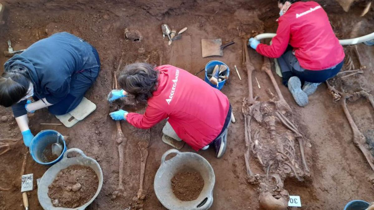 Imagen de las tareas de exhumación en el cementerio de Castelló.  | JUAN LUIS PORCAR