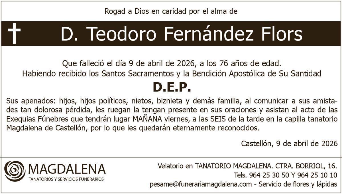 D. Teodoro Fernández Flors
