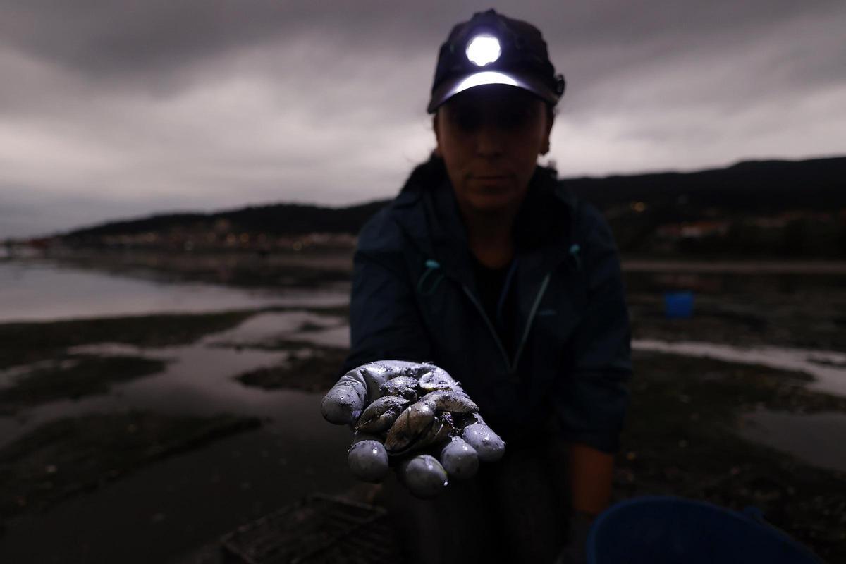 Una mariscadora de a pie enseña parte de los bivalvos recogidos en la ría de Pontevedra.