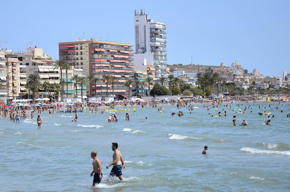 Buen tiempo este fin de semana en Elche