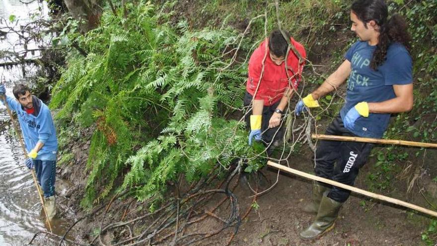 Voluntarios colaborando en la limpieza del río Tea, el domingo, en Salvaterra de Miño.