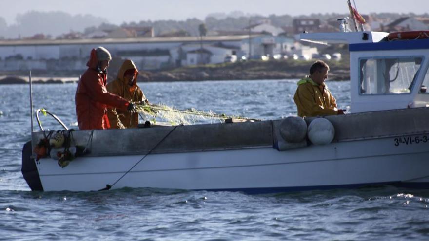 Trabajadores del mar en la ría de Arousa.