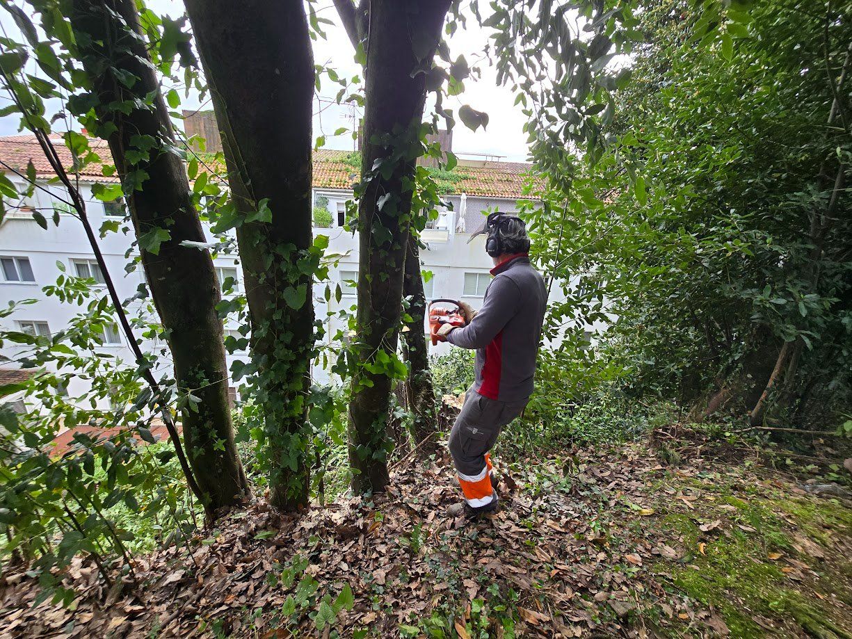 La tala de árboles en el Parque Valdés Bermejo para garantizar la seguridad ciudadana.