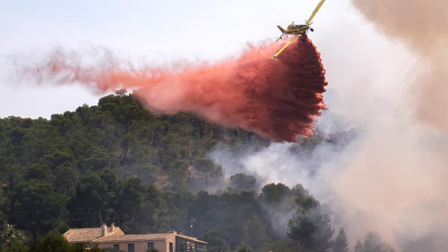 La sierra de la Zafra en Monóvar sigue devastada un año después del incendio
