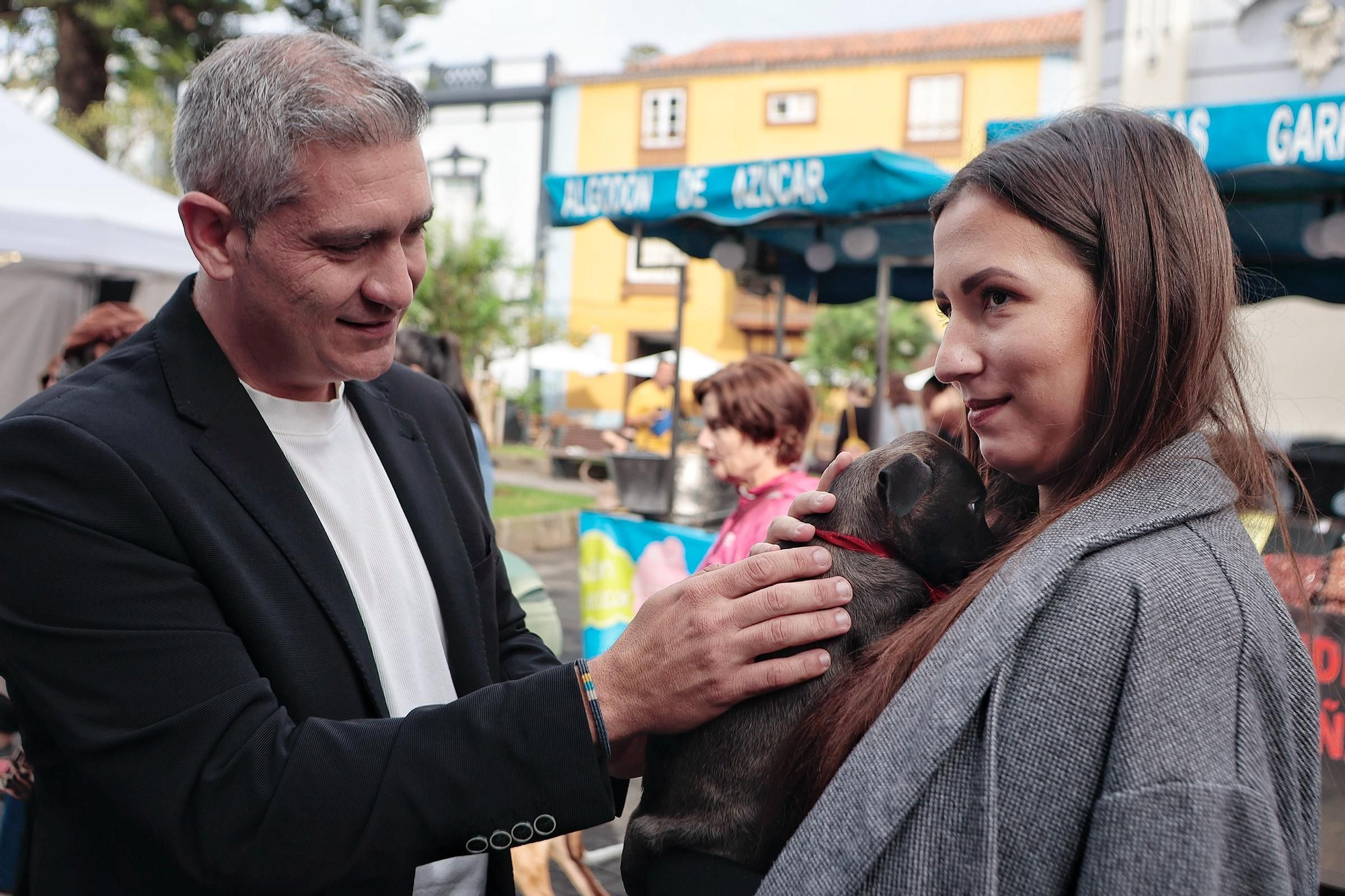 Feria de la Adopción Responsable de Animales de Compañía