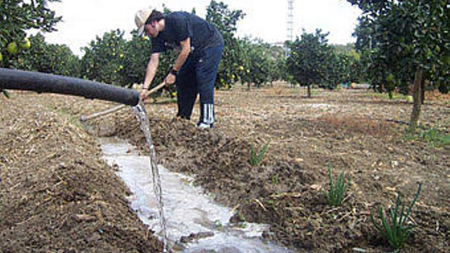 Gestión hídrica. El sector agrícola sufre las consecuencias de la falta de precipitaciones.