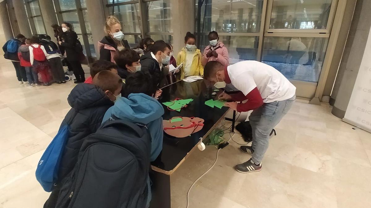 Alumnos del colegio Germán Fernández Ramos, ayer, en el taller dedicado al oso, con Enrique González al frente. | D. M.