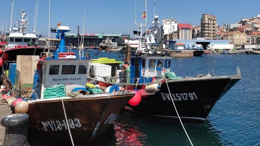 Falsa democracia, esloganismo y política pesquera comunitaria