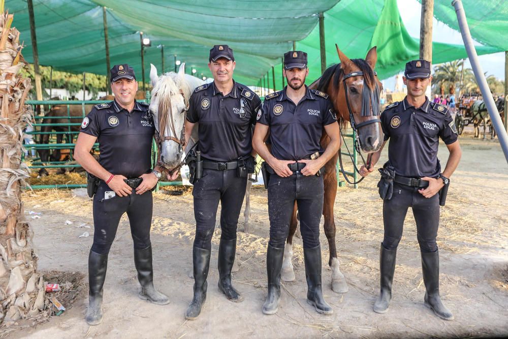 Carrera de burros y asnos y exhibición canina en D