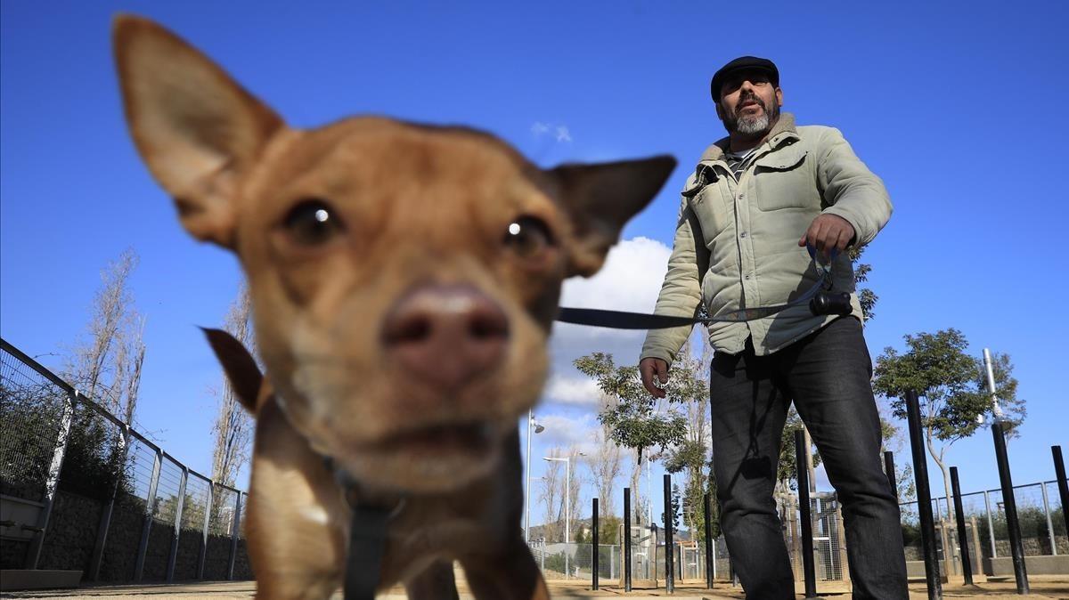 jcarbo41573808 barcelona 12 01 2018 area de recreo para perros en nou barri180115132624