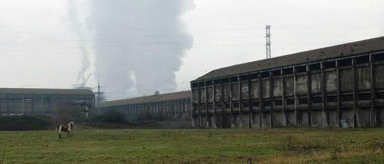 Los terrenos de Nitrastur, en La Felguera.