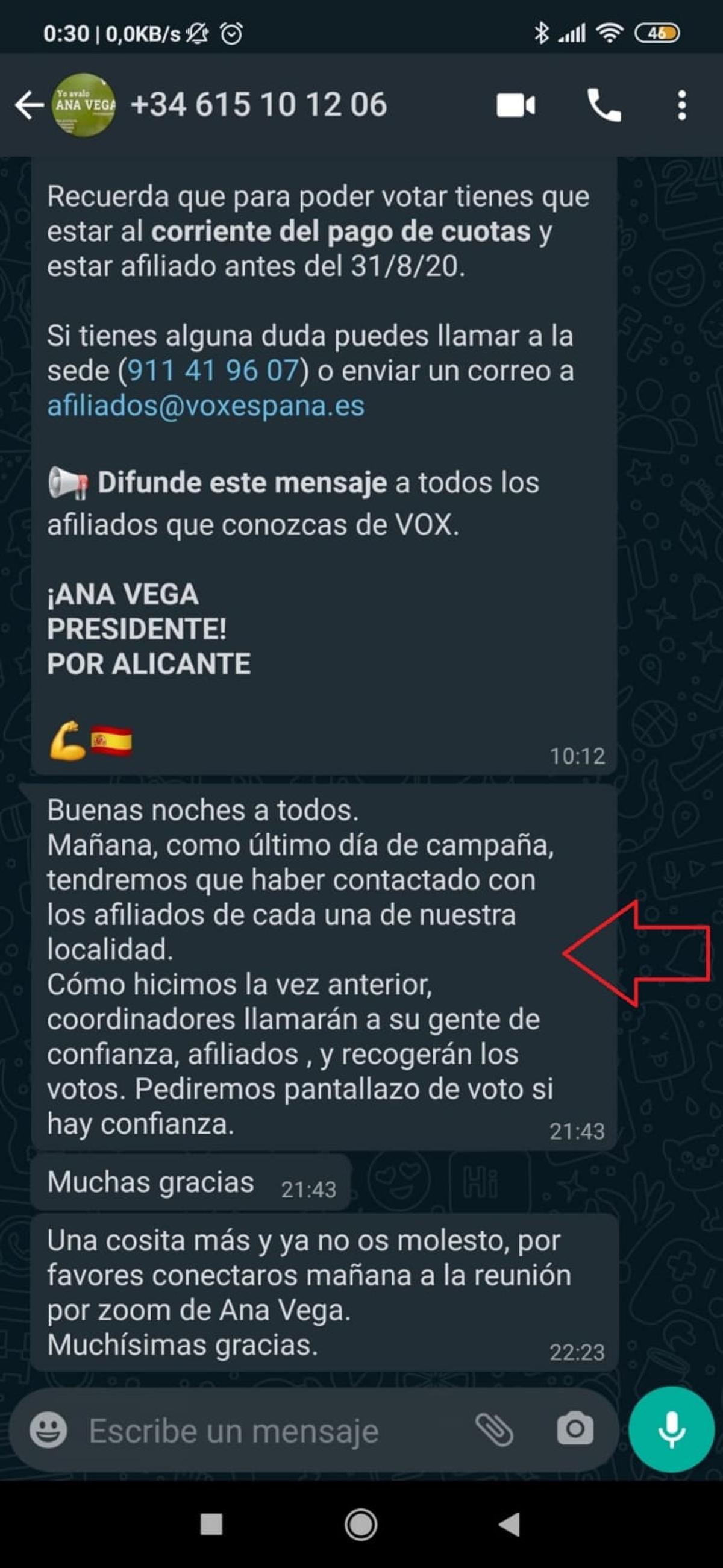 Pantallazo de un grupo de whatsapp de una componente de la candidatura de Ana Vega.