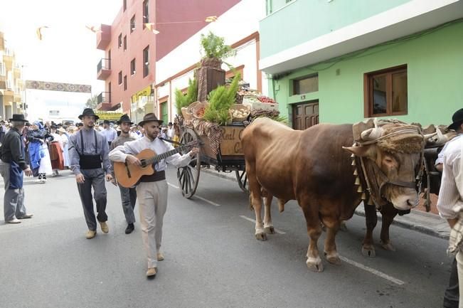 ROMERIA DE SAN ISIDRO GALDAR