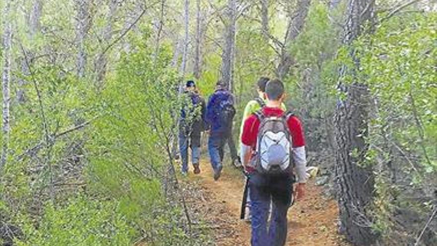 Onda ofrece cinco rutas por su patrimonio forestal para Pascua