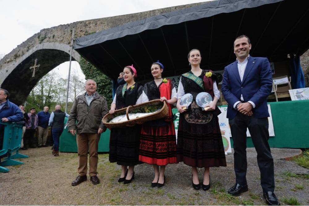 Subasta del campanu en Cangas de Onís