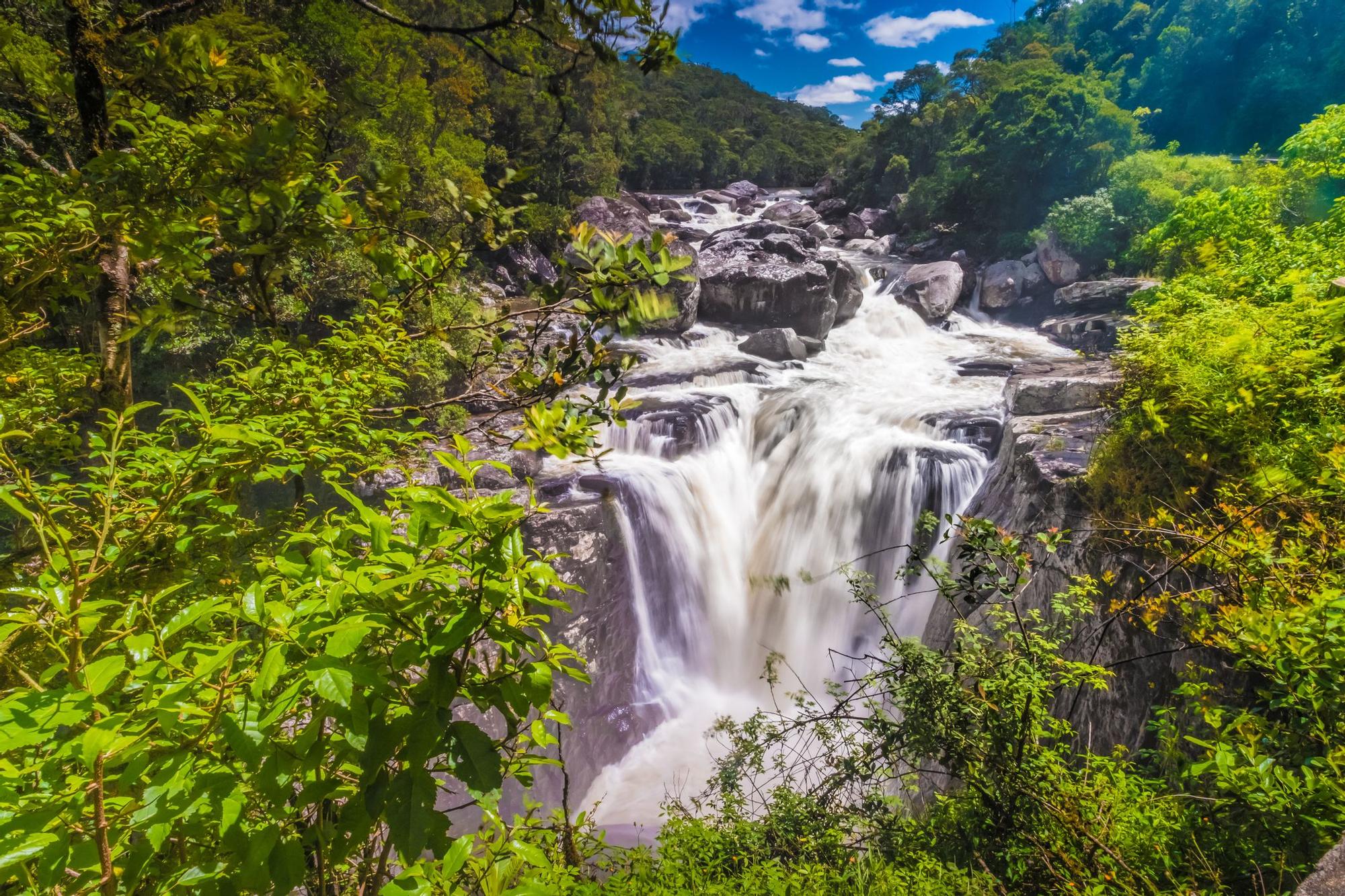 Parque Nacional de Ranomafana.