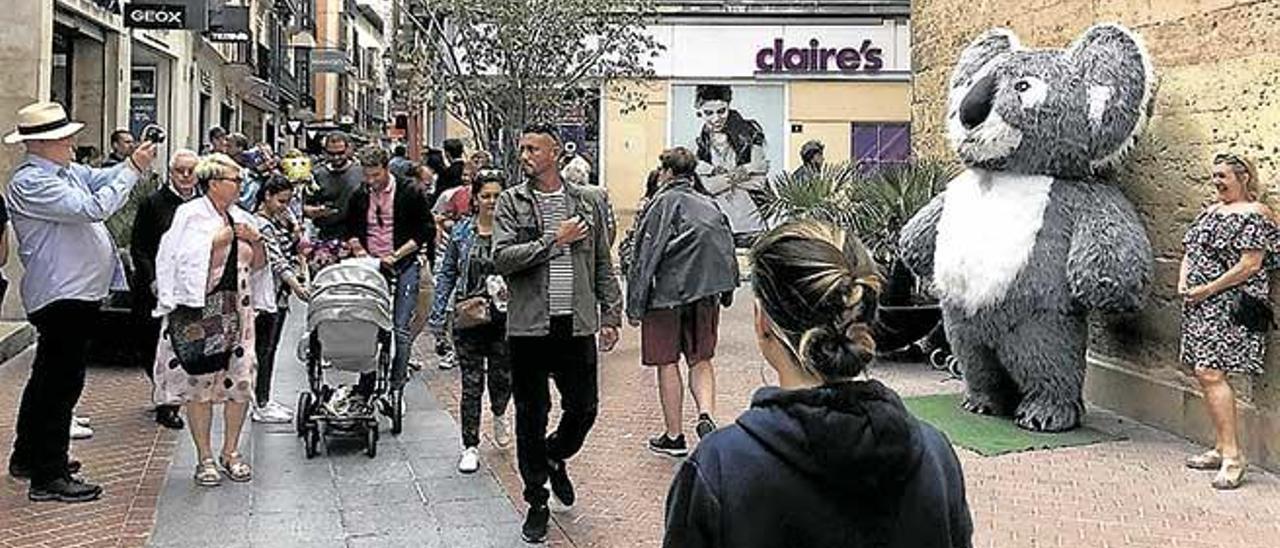 Un koala gigante en San Miquel.