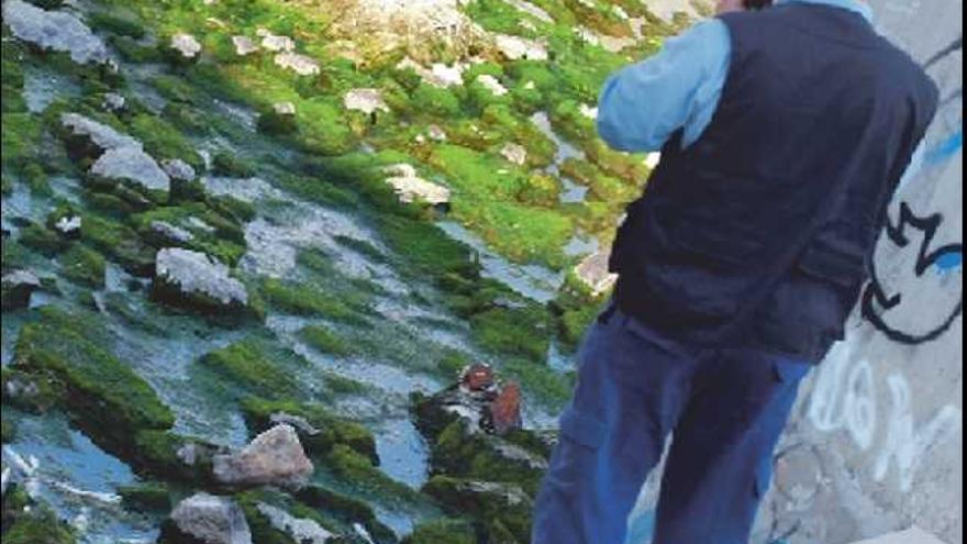 Un técnico 

medioambiental toma ayer fotos de los peces muertos en la desembocadura del barranco de las Ovejas