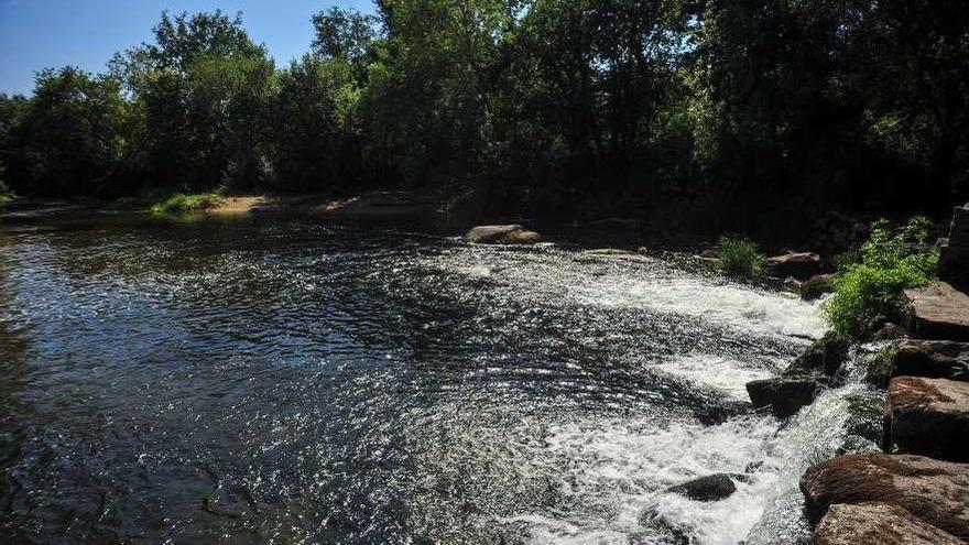 El río Umia a su paso por la parroquia vilanovesa de Baión. // Iñaki Abella