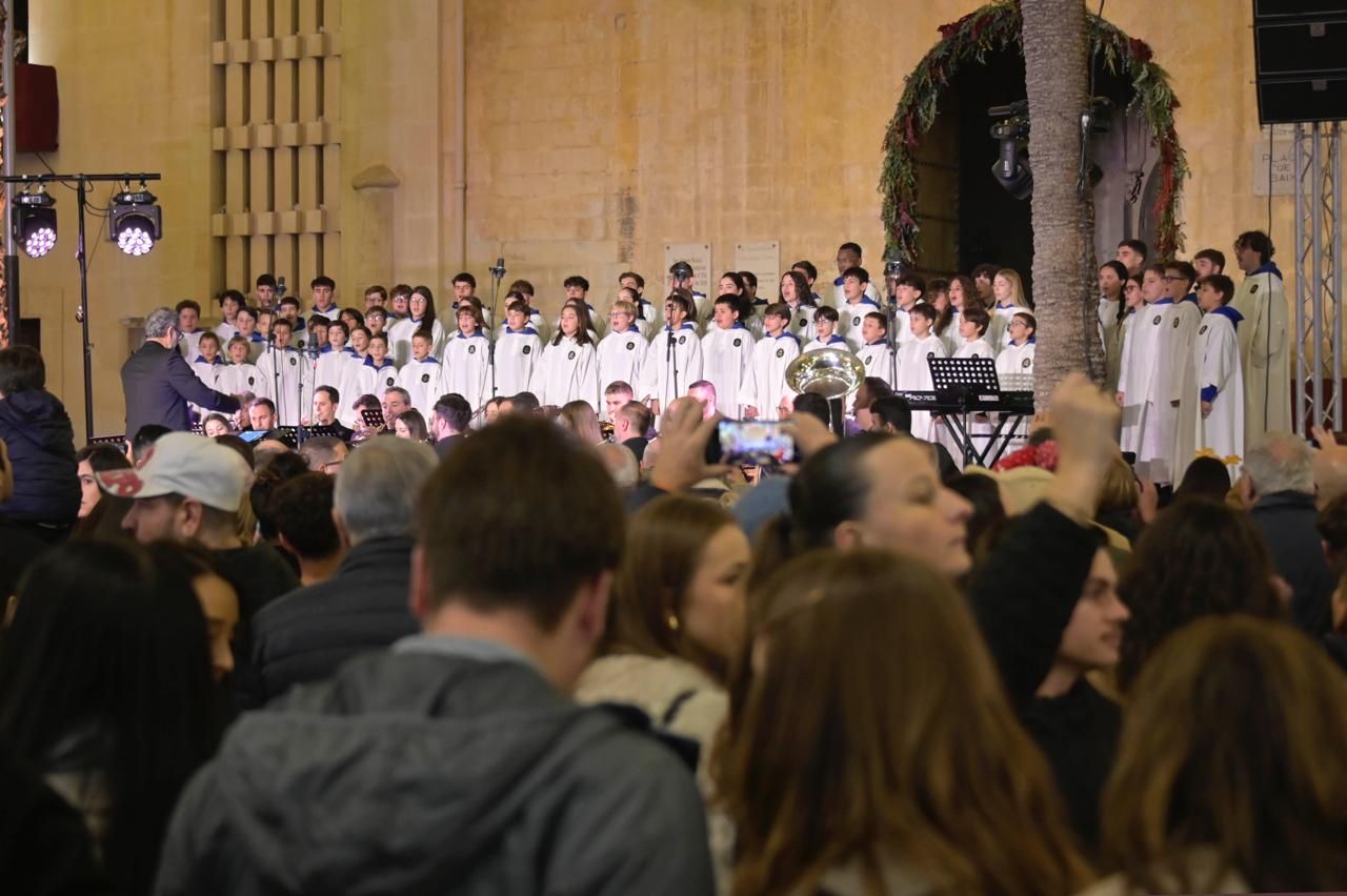 Elche se ilumina por Navidad