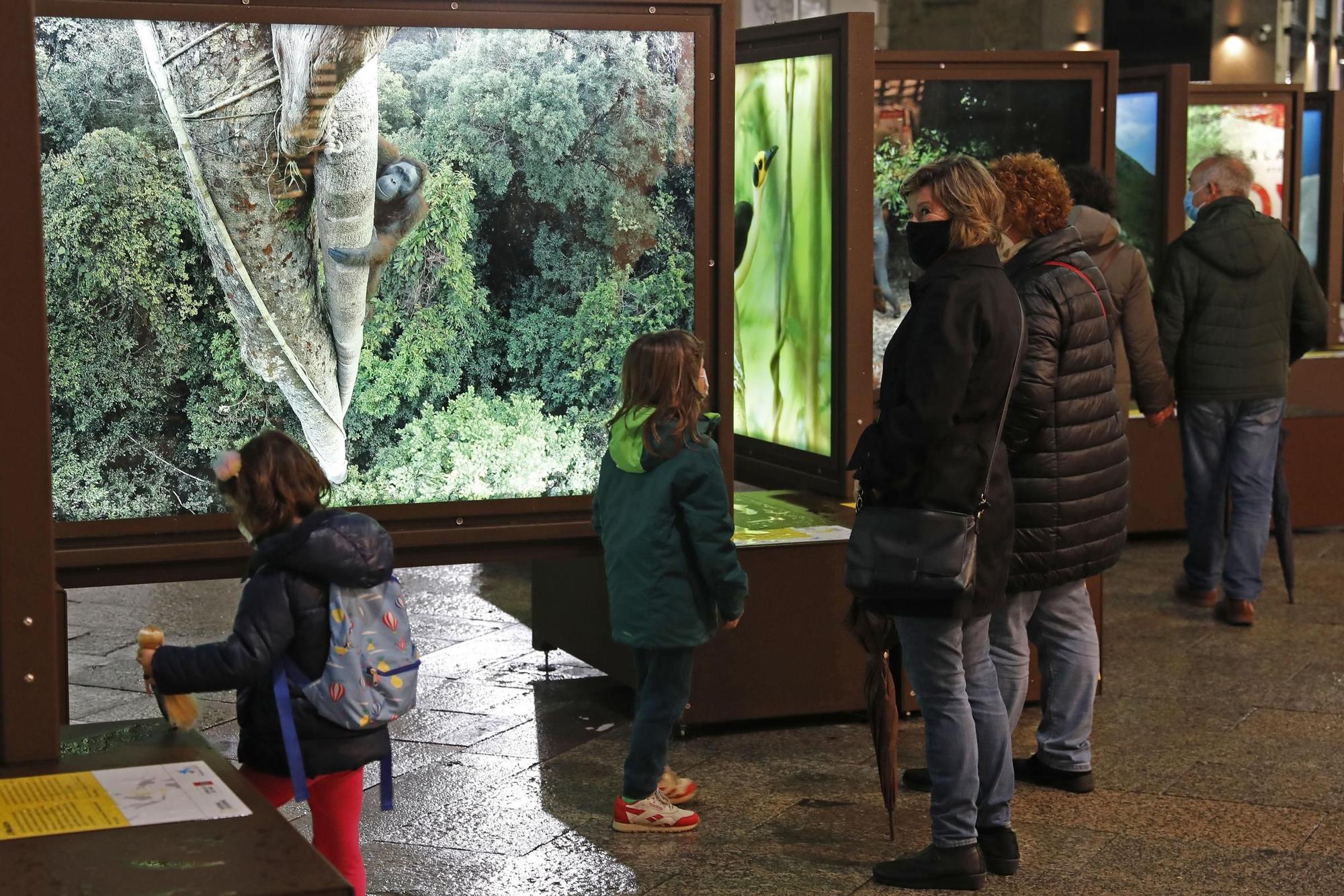 La naturaleza de National Geographic a pie de calle en Vigo