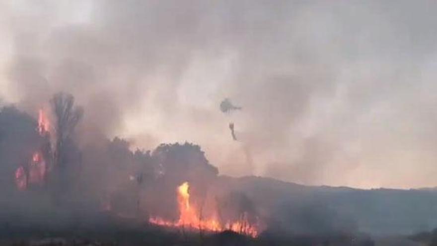 El incendio de Collado de la Vera evoluciona favorablemente