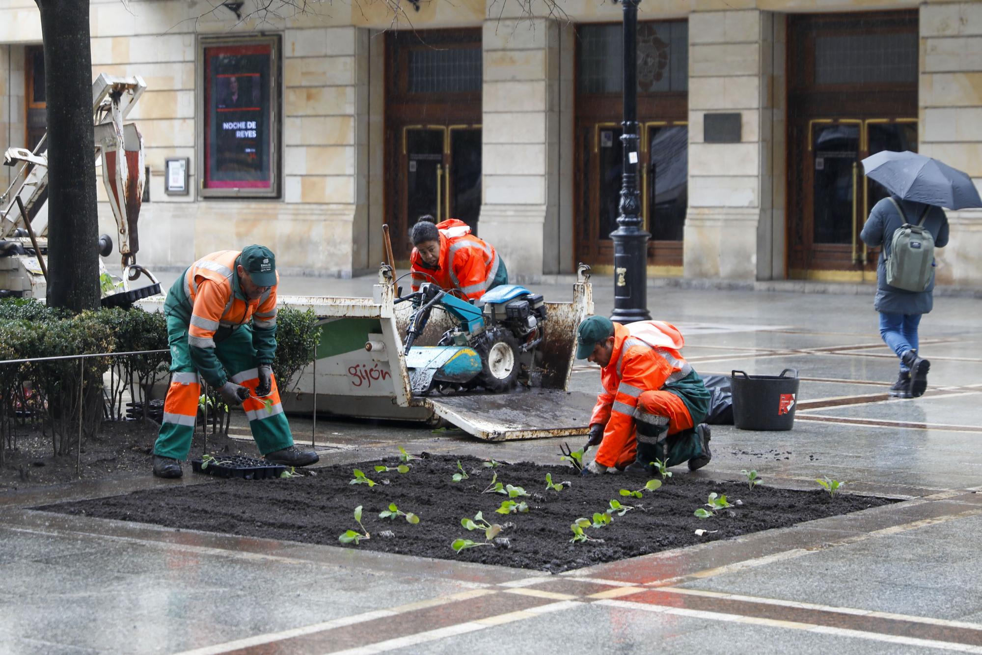 En imágenes: Sin flores de temporada y con pocos cuidados en las zonas verdes del centro de Gijón