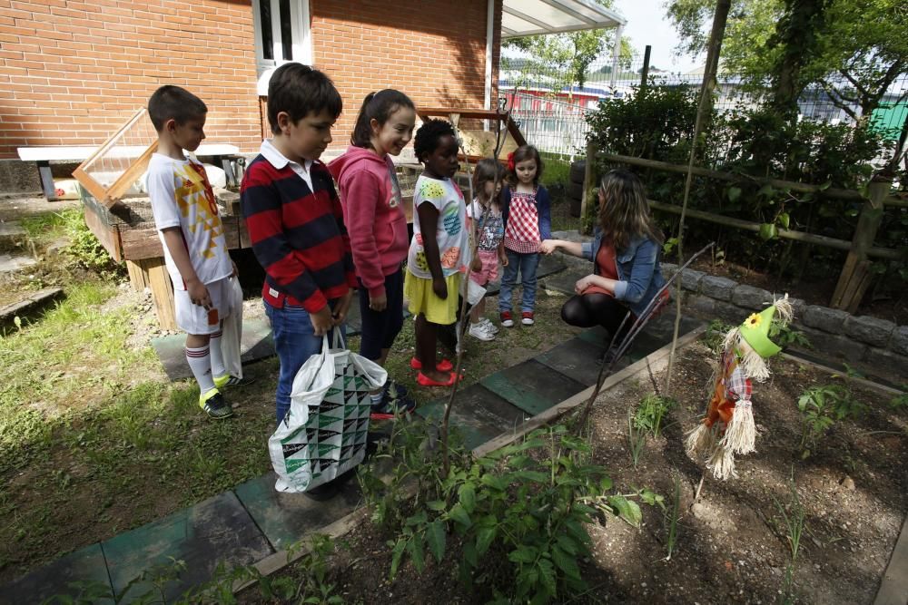 El colegio Quirinal estrena huerto.