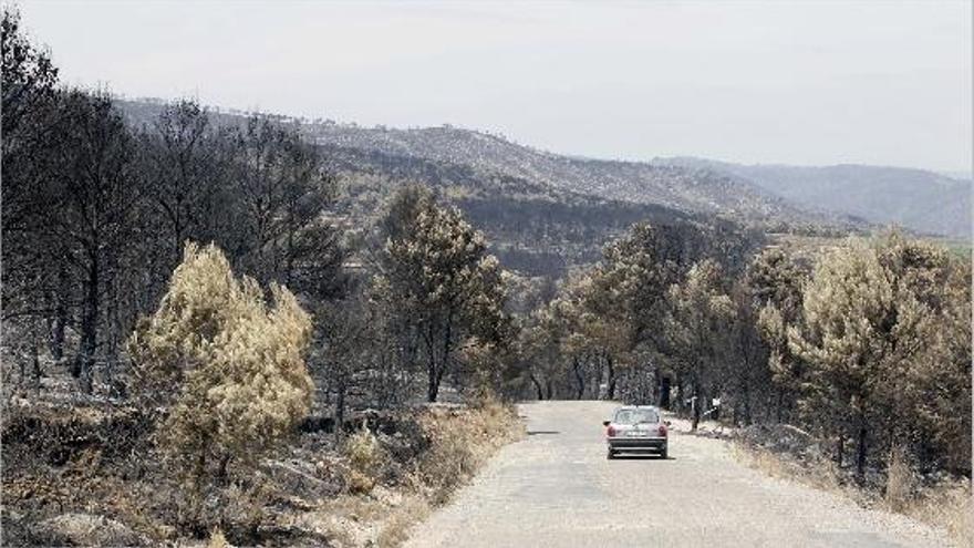 Montañas quemadas a un lado y otro del camino rural entre Villar del Arzobispo y Alcublas, en una imagen de ayer por la tarde.
